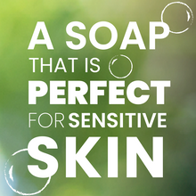 Load image into Gallery viewer, 12 oz. Gentle Soap non-toxic, biodegradable, eco-friendly, natural household cleaner