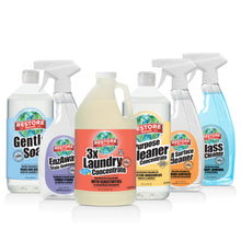 Load image into Gallery viewer, Laundry Cleaning Kit Starter