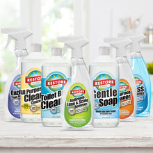 Load image into Gallery viewer, Bathroom Cleaning Kit Starter
