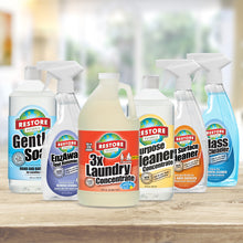 Load image into Gallery viewer, Laundry Cleaning Kit Starter non-toxic, biodegradable, eco-friendly, natural household cleaner