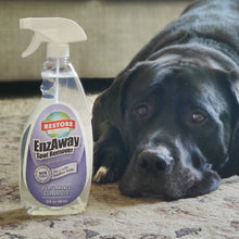 Load image into Gallery viewer, EnzAway non-toxic, biodegradable, eco-friendly, natural household cleaner