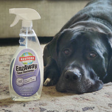 Load image into Gallery viewer, EnzAway non-toxic, biodegradable, eco-friendly, natural household cleaner