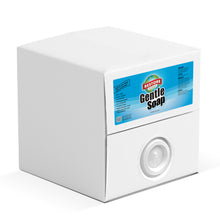 Load image into Gallery viewer, Gentle Soap BIB pack non-toxic, biodegradable, eco-friendly, natural household cleaner