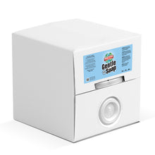 Load image into Gallery viewer, Gentle Soap BIB pack non-toxic, biodegradable, eco-friendly, natural household cleaner